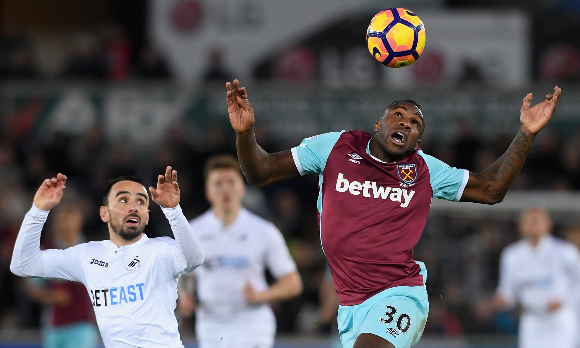 洲杯预选赛 洲杯预选赛